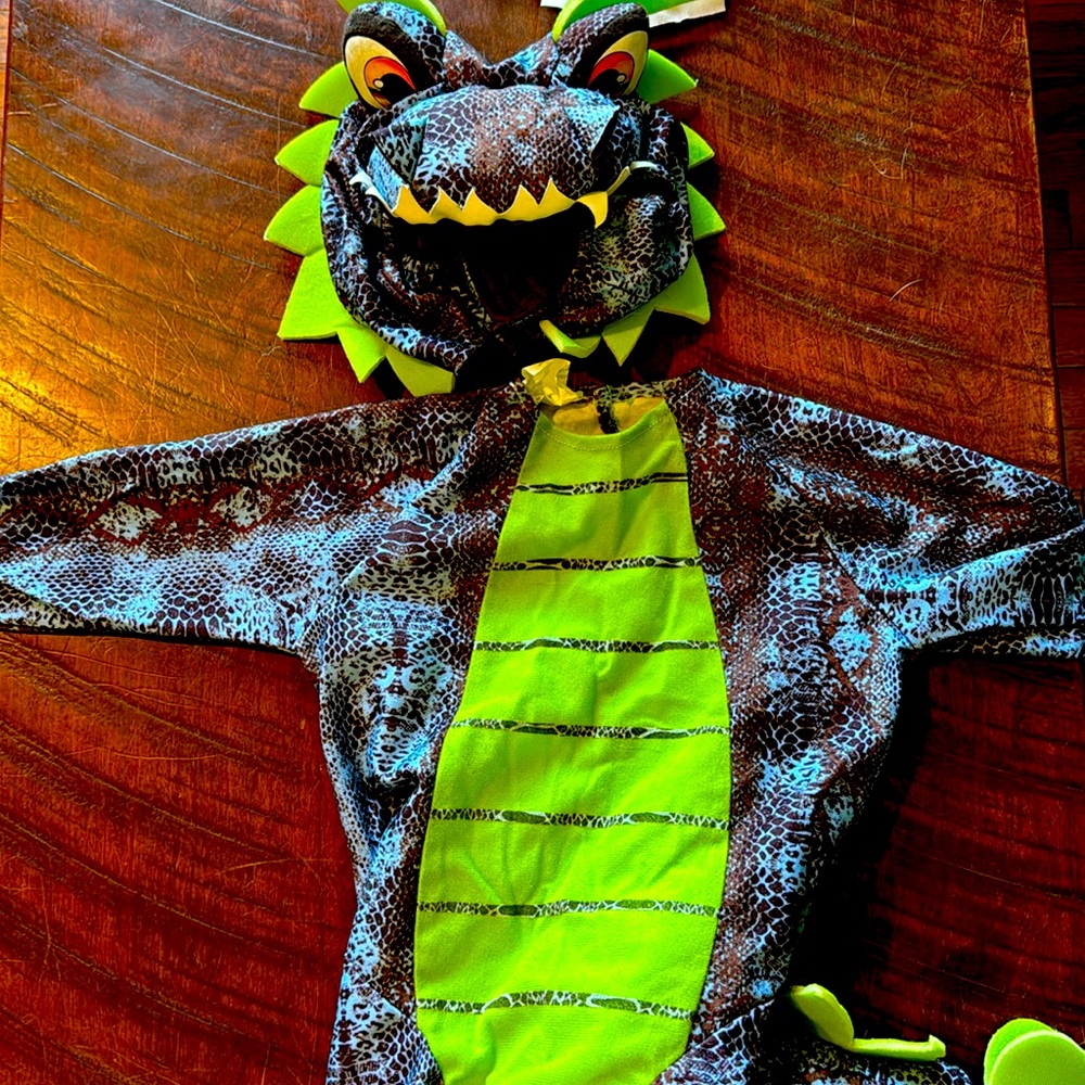 12-24 mo dragon costume. Worn once. Smoke free home